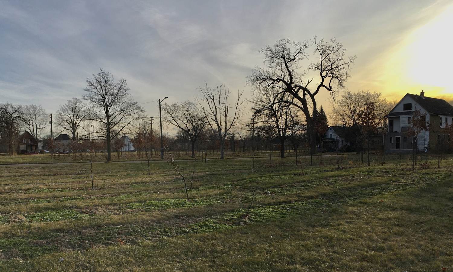 An open field of grass in Detroit&rsquo;s East Village where residential blocks once stood, streetlights still standing in the middle of it and two surviving houses at the right edge